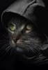 iCat