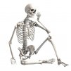 Skopa