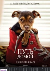 Путь домой (2019)