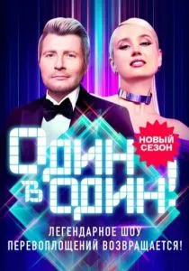 Один в один (2013)