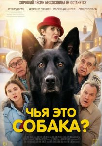 Чья это собака? (2025)
